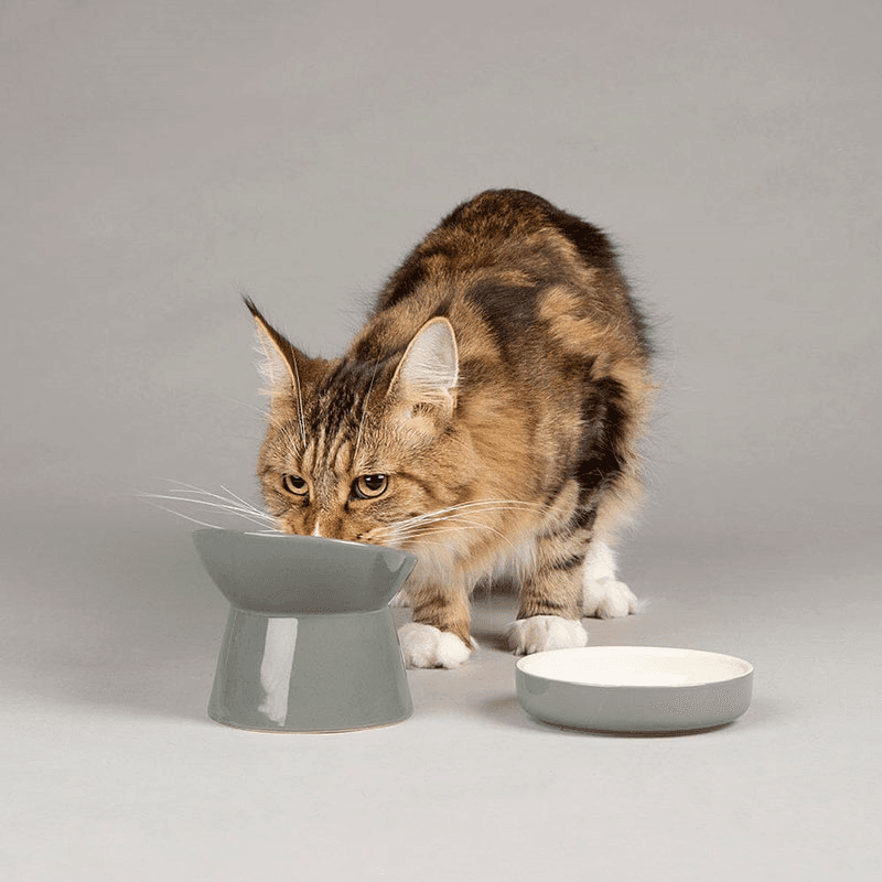 Classic Cat Bowl, D12cm, Grey