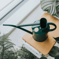 Image showing the The Fazeley Flow Watering Can, 2 Pint, Green product.