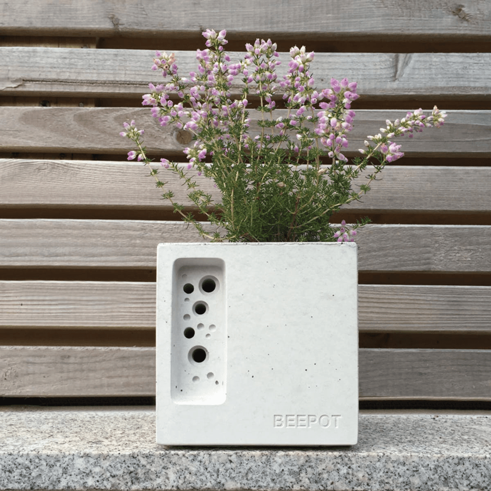 Beepot Concrete Planter and Bee House - Mini; White, White