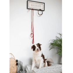 Image showing the 'Walkies' Dog Lead Hooks product.