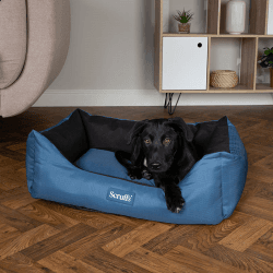 Image showing the Expedition Dog Bed, 60 x 50cm, Atlantic Blue product.