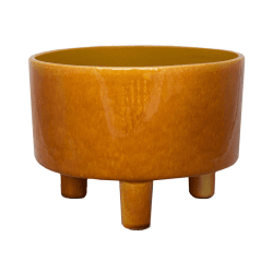 Image showing the Pisa Bowl planter, D19cm, Mustard product.