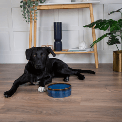Image showing the Reactive Glaze Dog Bowl, D19cm, Midnight Blue product.