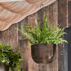 Image showing the Mayfair Indoor Hanging Planter, H16 x D21cm, Brown product.