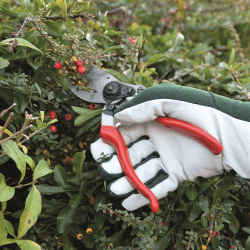 Image showing the Leather palm gloves, large, Green/White product.