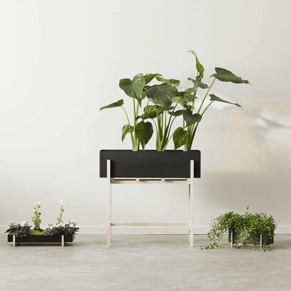 Botanic Stand, Grey