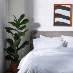 Image showing the Washed Cotton Percale Double Duvet Cover, White product.