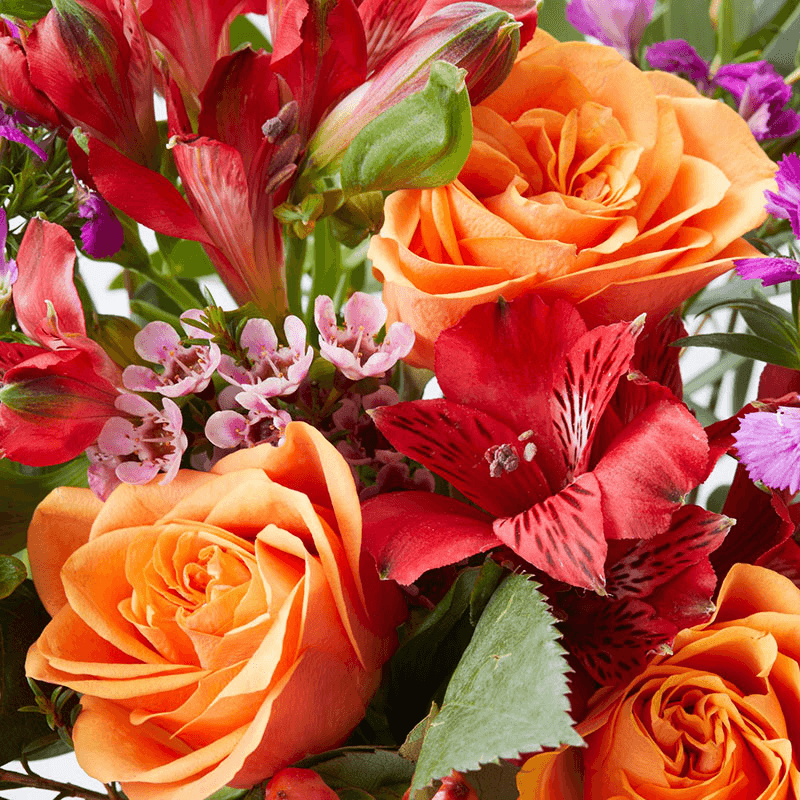 Regular Letterbox flower subscription, 6 months