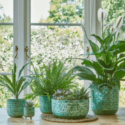 Image showing the Reactive Glaze Planter, D18cm, Green product.