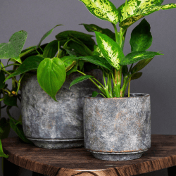 Image showing the Tivoli Planter, D26cm, Earth product.
