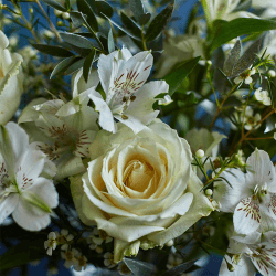Image showing the Letterbox 12 Month Flower Subscription product.