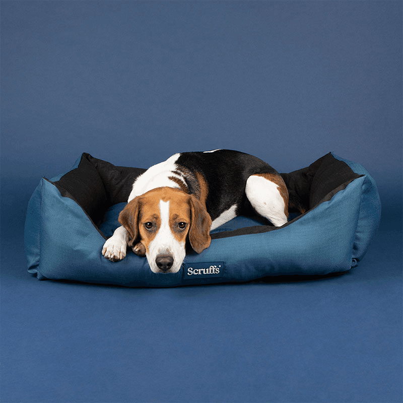 Expedition Dog Bed, 90 x 70cm, Atlantic Blue