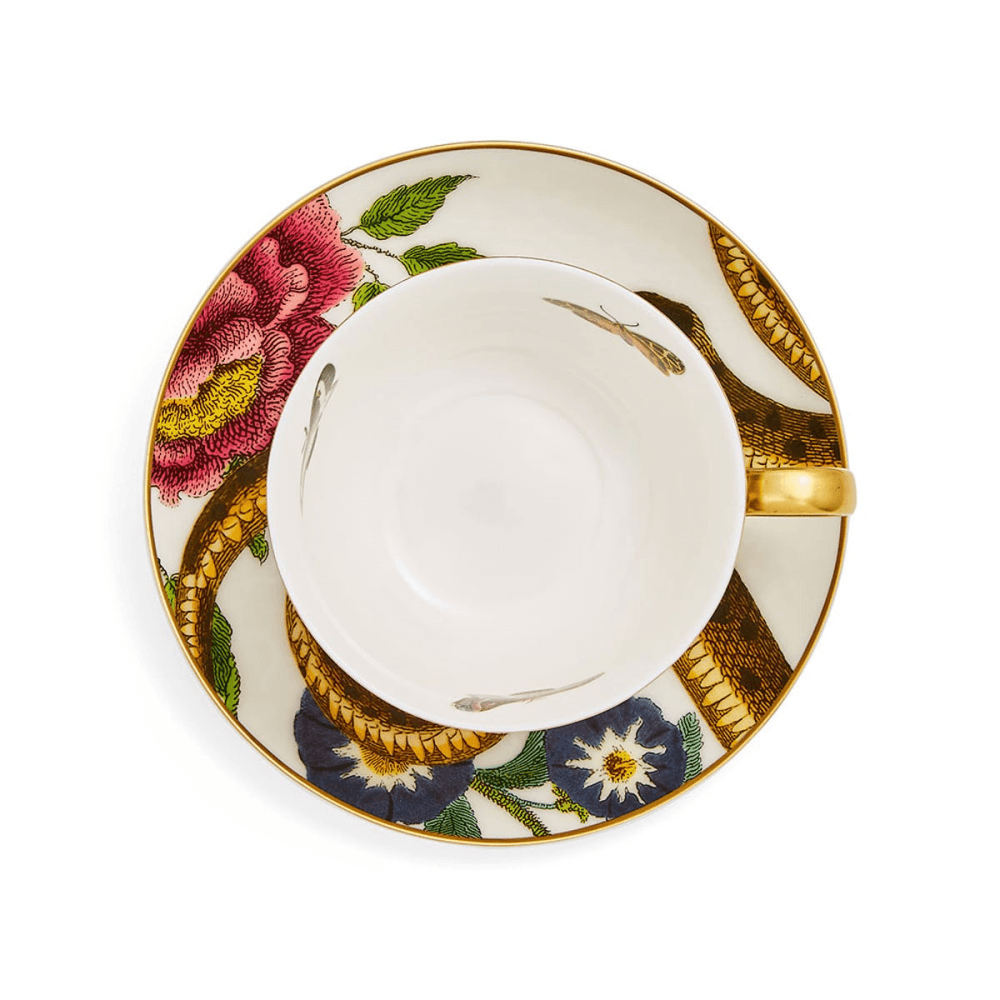 Creatures of Curiosity Tea Cup & Saucer Coupe, White