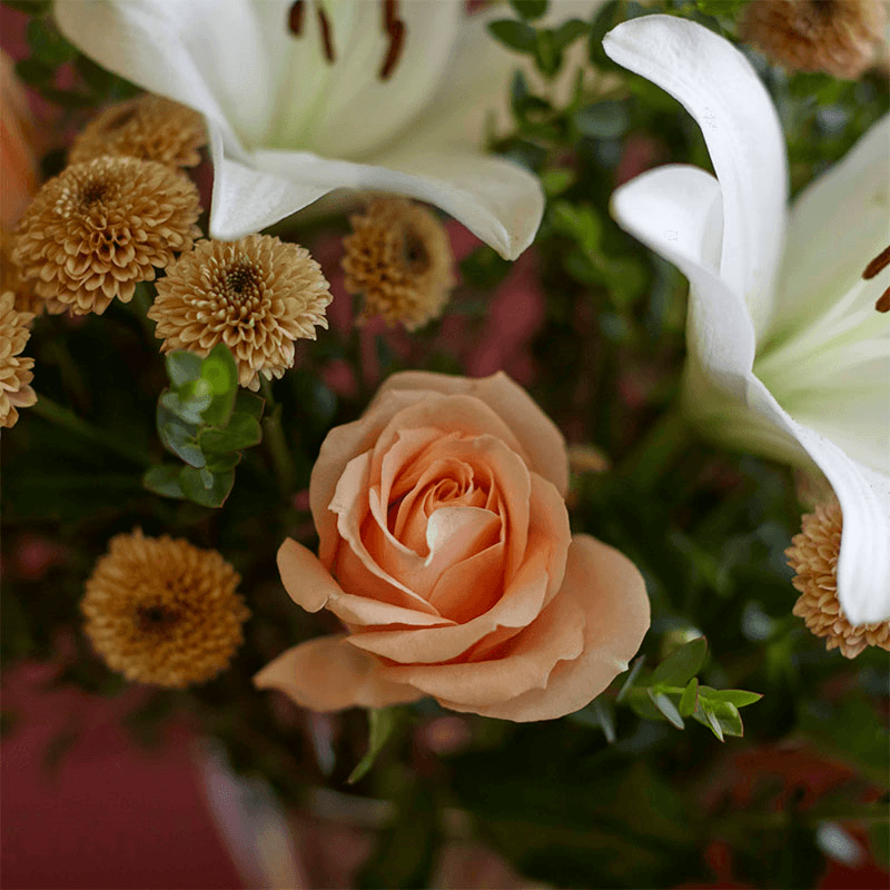 Letterbox 3 Month Flower Subscription