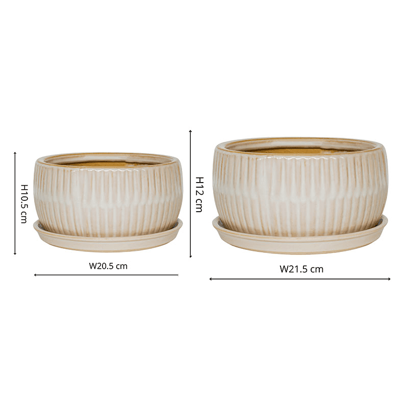 Bonsai Set of 2 Planters, White