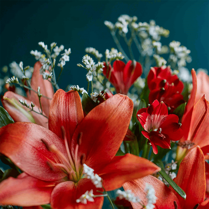Letterbox 12 Month Flower Subscription