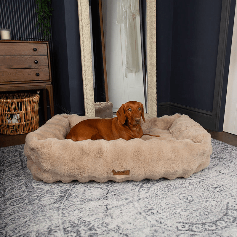 Supersoft Alpine Box Bed, 90 x 70cm, Champagne