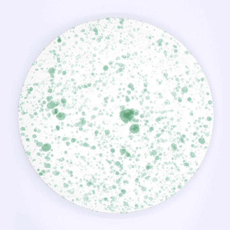 Splatter Dinner Plate, D24cm, Pistachio