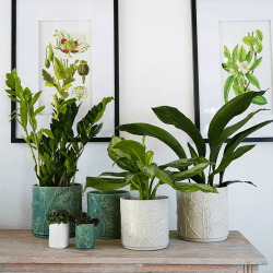 Image showing the Kew Botanical Retreat Stoneware Meadow Planter, D24cm, Green product.