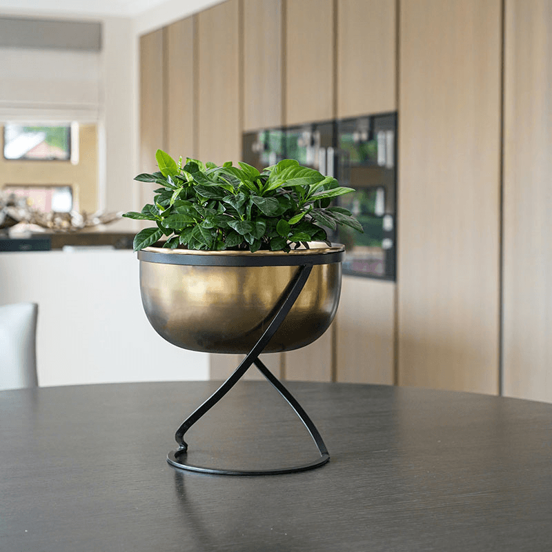 Kensington Indoor Planter on Stand, H30 x W28cm, Brass