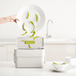 Image showing the Compo 4 Food waste caddy, H18 x W30 x D13cm - 4 Litre, Stone product.