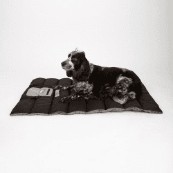 Image showing the Expedition Roll Up Travel Pet Bed, 100 x 70cm, Storm Grey product.