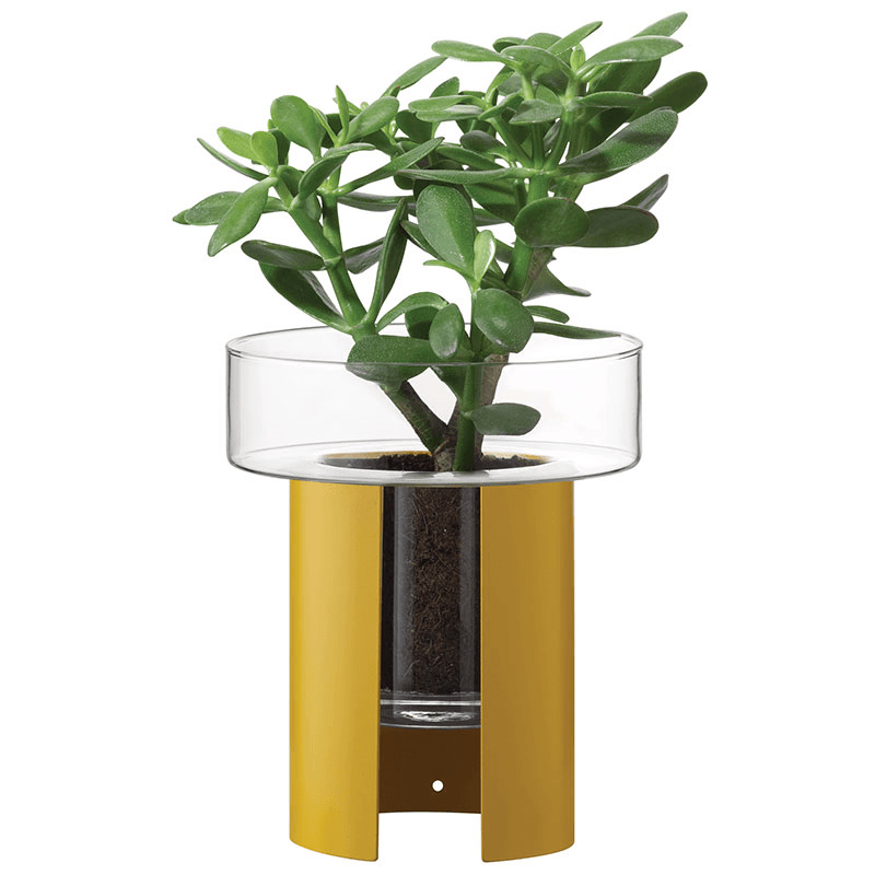 Terrazza Planter, H22 x W19cm, Mustard Yellow