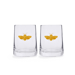 Image showing the Creatures of Curiosity Pair of Tumblers, Clear product.