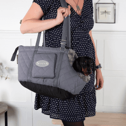 Image showing the Wilton Pet Carrier, 38 x 20 x 24cm, Grey product.