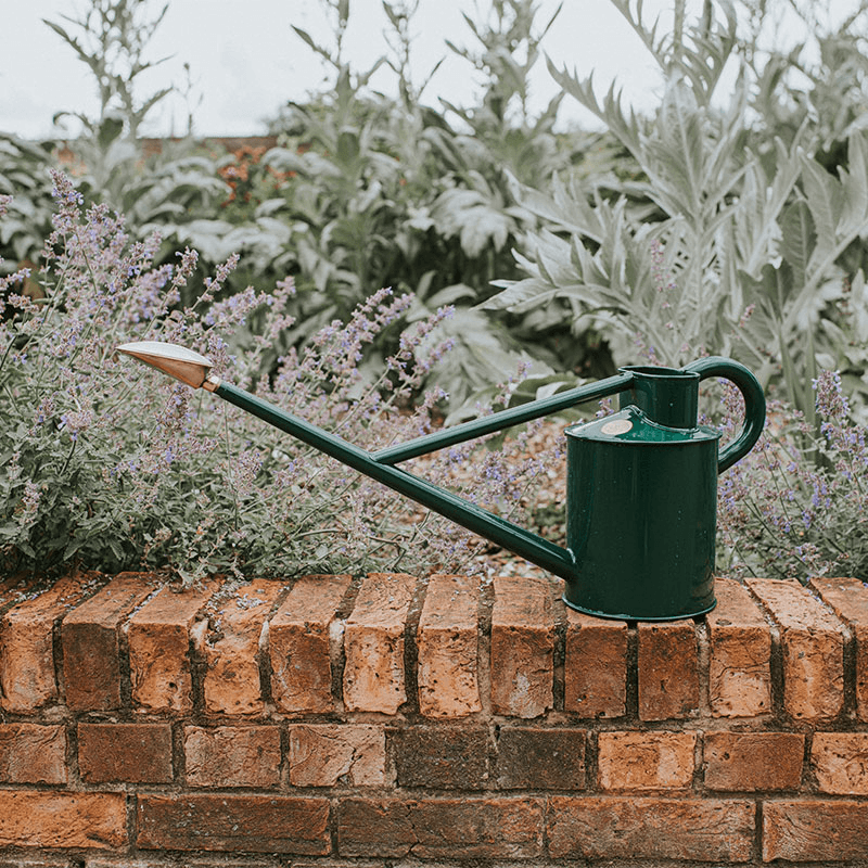 The Warley Fall Watering Can, 2 Gallons, Graphite
