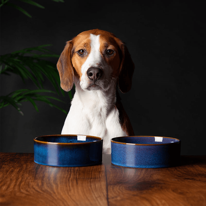 Reactive Glaze Dog Bowl, D15cm, Midnight Blue