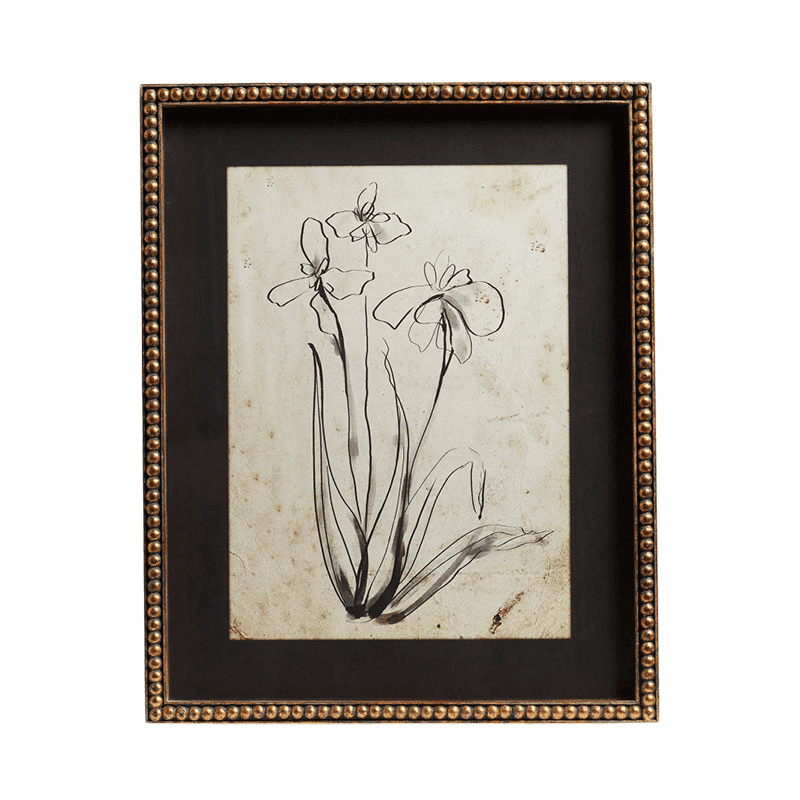 Narin Set of 4 Framed Prints, H50cm x W40cm x D3cm, Multi
