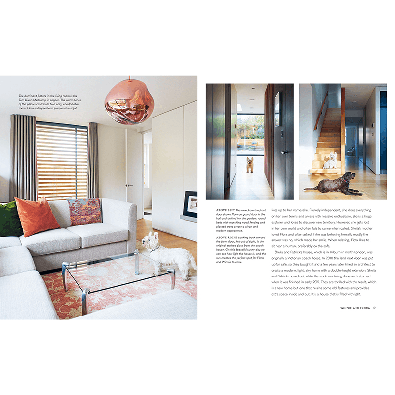 Cool Dogs, Cool Home Living In Style With Your Pet Pooch