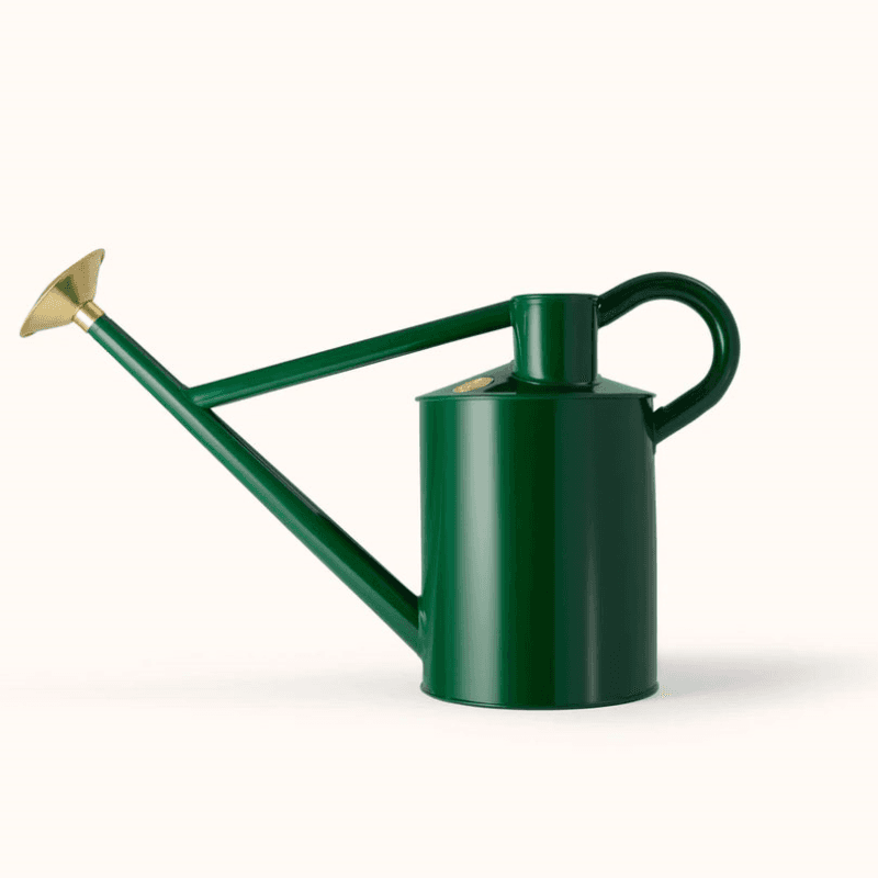 The Bearwood Brook Outdoor Watering Can, 2 Gallon, Green