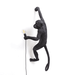 Image showing the Monkey Right hand hanging lamp, H21 x W37cm, Black product.