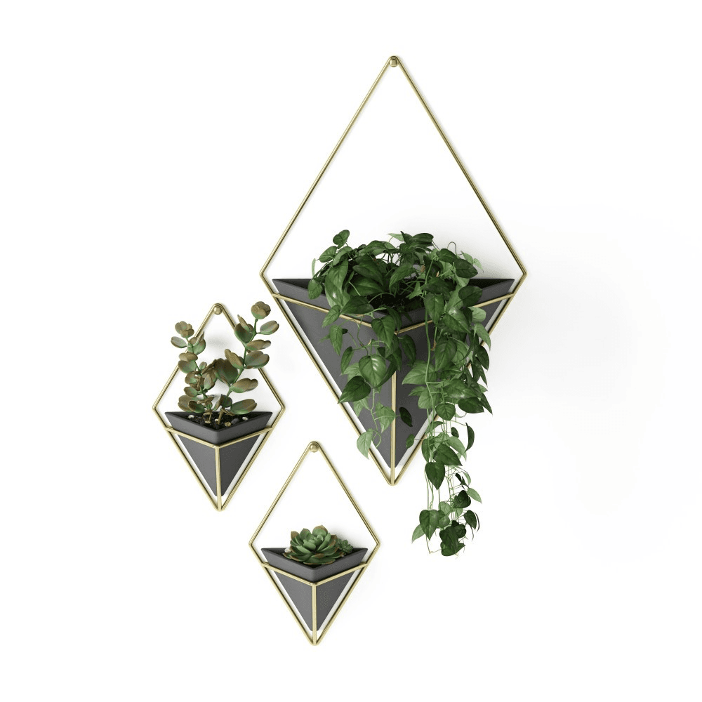 Trigg Set of 2 wall vessels, Black/Brass