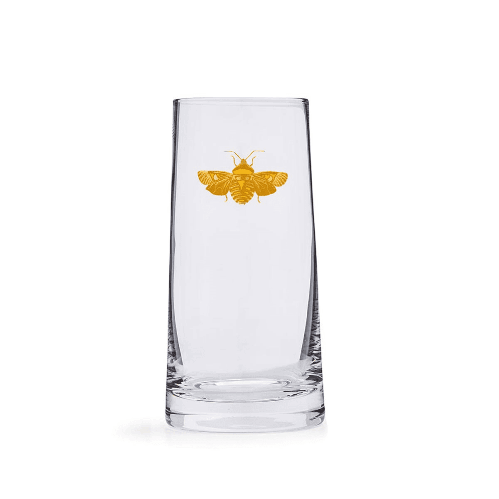 Creatures of Curiosity Pair of Highball Tumblers, Clear