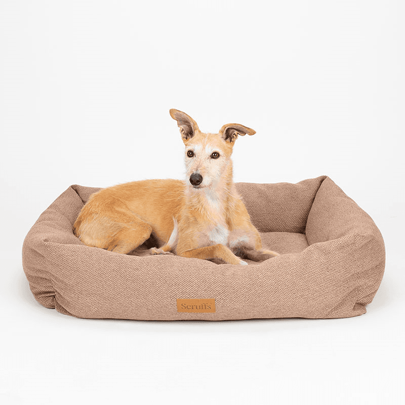 Seattle Box Bed, 90 x 70cm, Sienna Brown