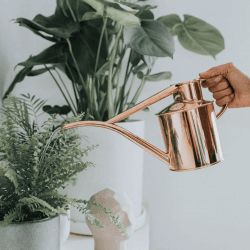 Image showing the The Fazeley Flow Watering Can, 2 Pint, Copper product.