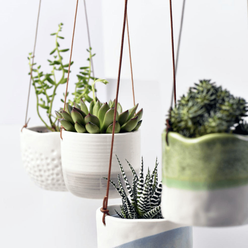 Indoor Hanging Pot, Wave Design, Green/White