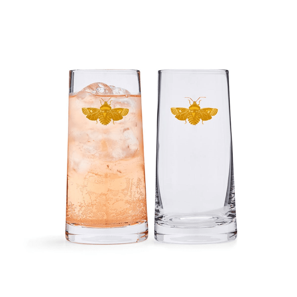 Creatures of Curiosity Pair of Highball Tumblers, Clear