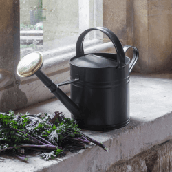 Image showing the Watering Can, 5L, Grey/Brass product.