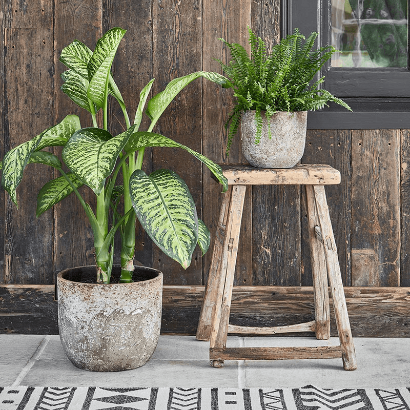 Albero Planter, D16cm, Brown