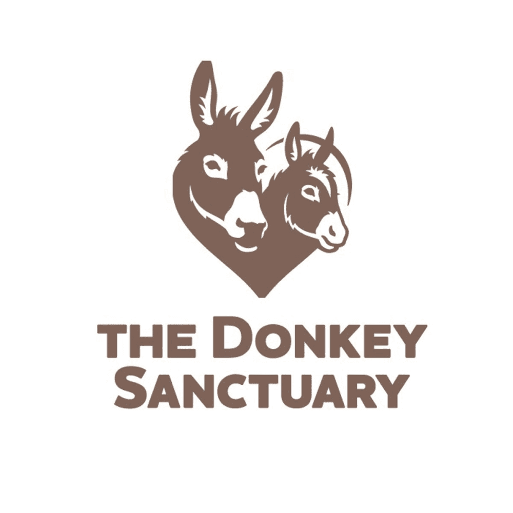 A Donation Towards The Donkey Sanctuary