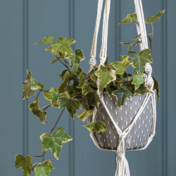 Image showing the Macrame Hanging Indoor Planter, Grey product.