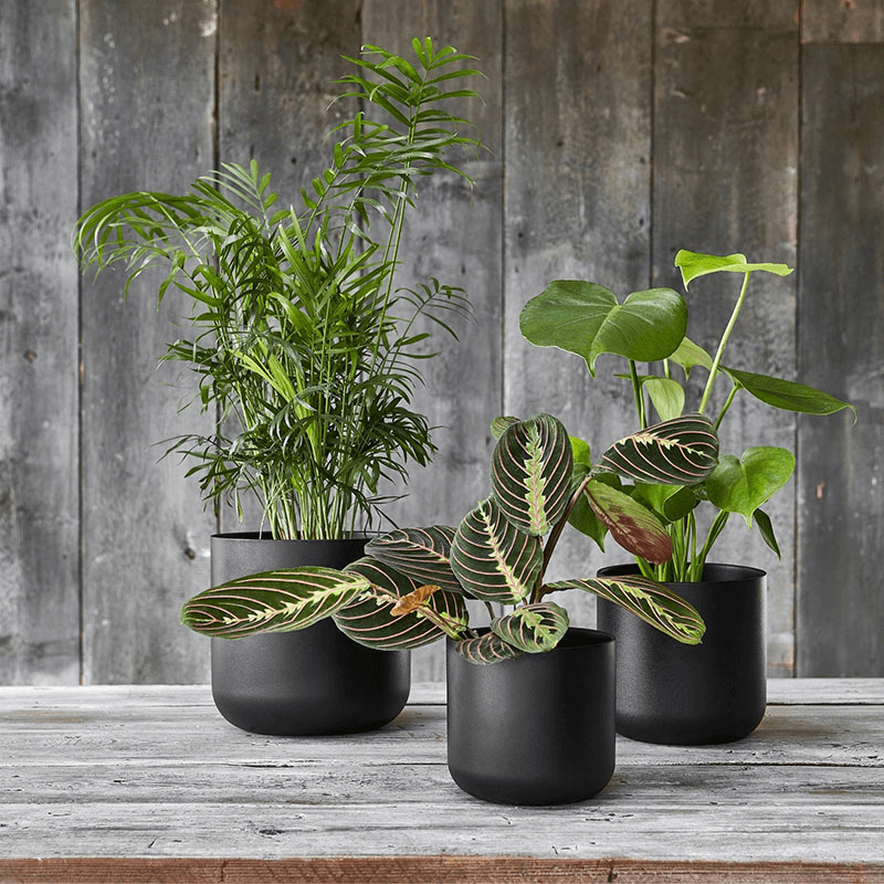 Lisbon Planter, D26cm, Anthracite