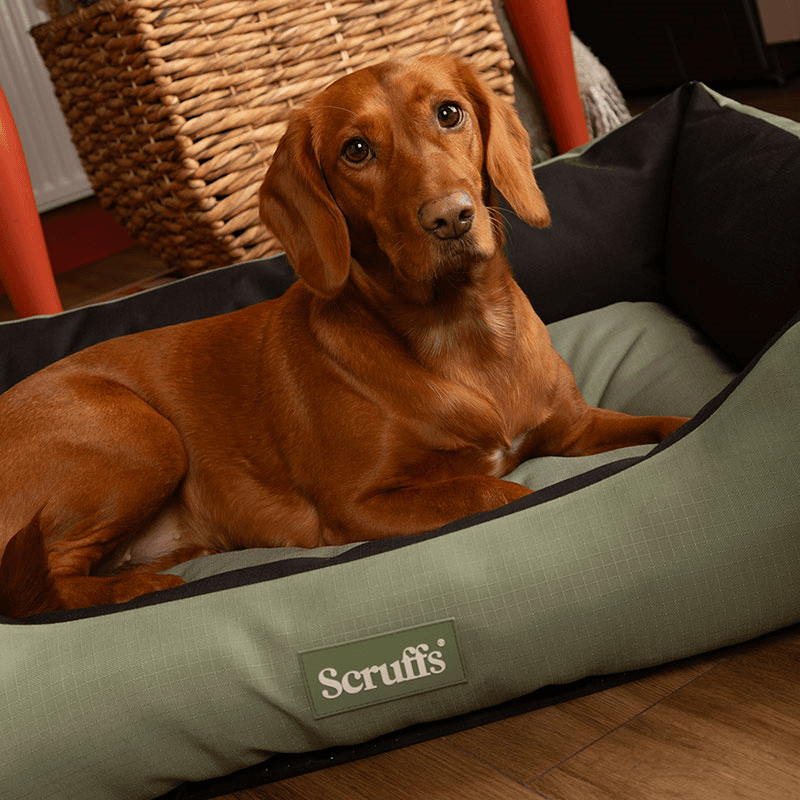 Expedition Dog Bed, 90 x 70cm, Khaki Green