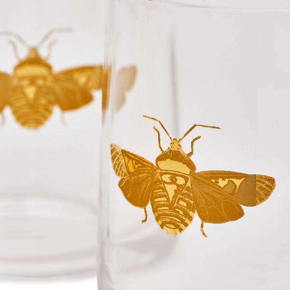 Creatures of Curiosity Pair of Tumblers, Clear