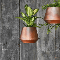 Image showing the Soho Indoor Hanging Planter with Leather Strap, H15 x D21cm, Aged Copper product.