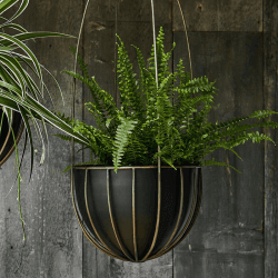 Image showing the Kensington Indoor Hanging Planter, H60 x D24cm, Brass product.